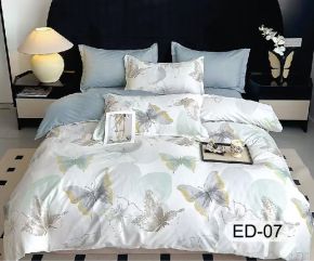 Ed-07