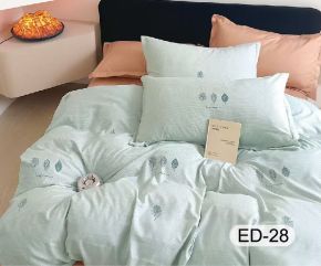 Ed-28